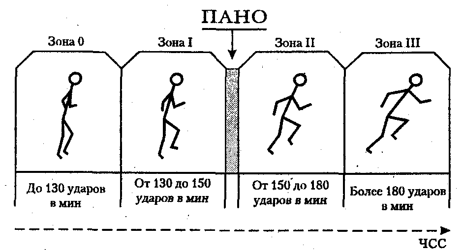 Физическая интенсивность. Зоны интенсивности нагрузок по ЧСС. Зоны интенсивности нагрузок по частоте сердечных сокращений. . Зоны интенсивности физической нагрузки ЧСС.. Четыре зоны интенсивности нагрузок по ЧСС.