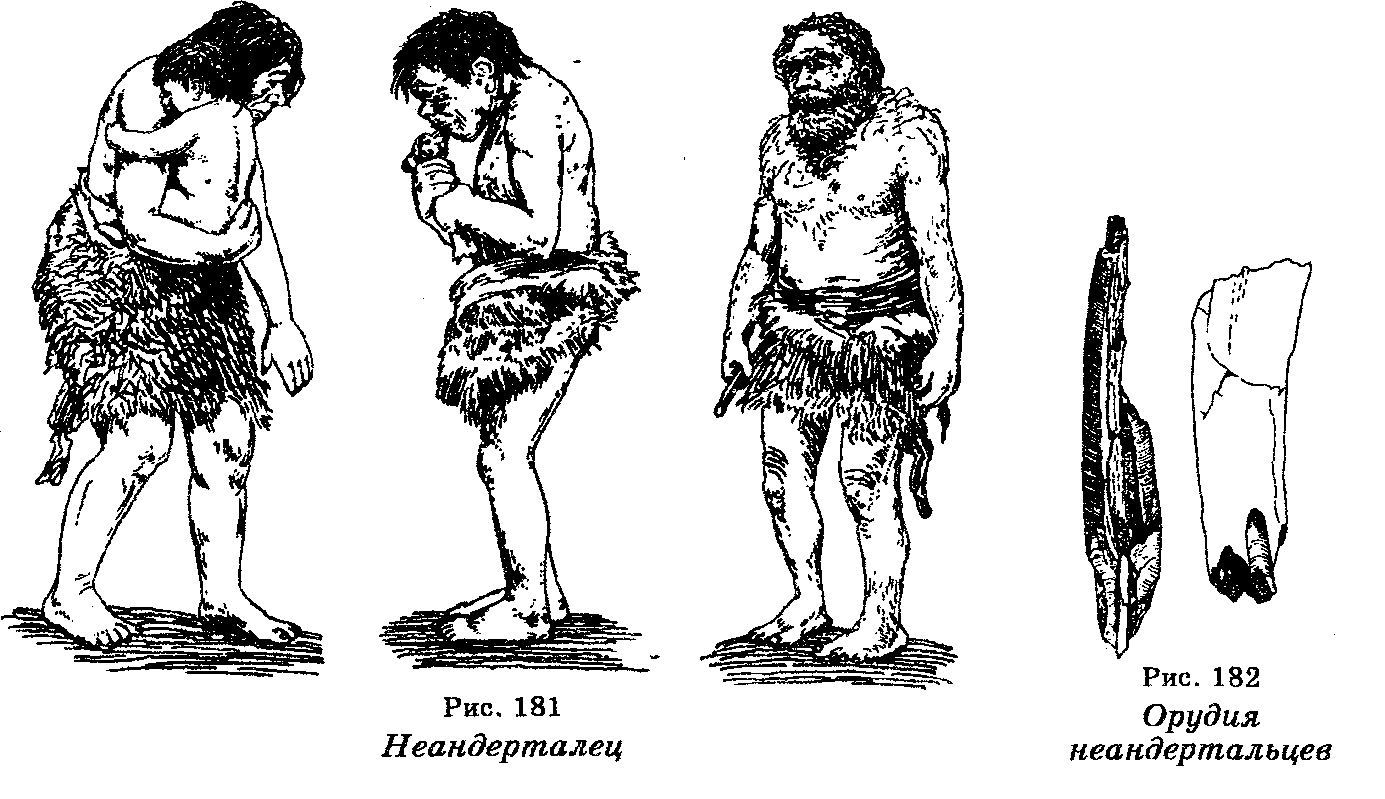 одежда древних людей картинки