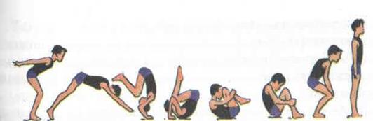 Акробатические упражнения для спины