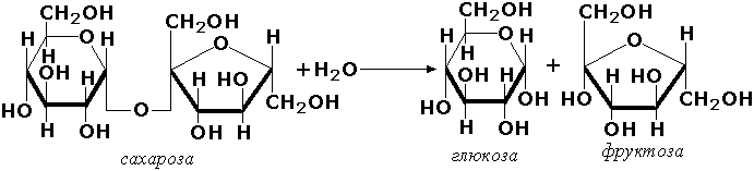 Фруктоза вступает в гидролиз. Гидролиз сахарозы до Глюкозы и фруктозы. Реакция гидролиза сахарозы формула. Гидролиз сахарозы уравнение реакции. Гидролиз сахарозы формула.