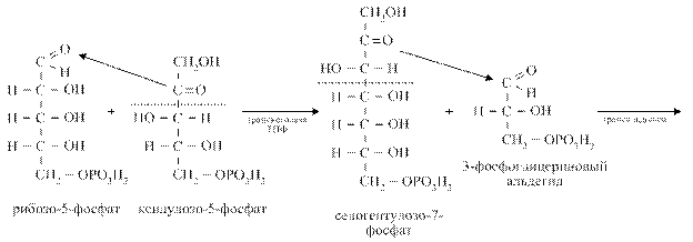 Глюкоза и кислород реакция. Окисление 3 фосфоглицеринового альдегида. Ксилулозо 5 фосфат эритрозо 4 фосфат реакция. Реакция окисления Глюкозы -6- фосфата. Ксилулозо-5-фосфат + эритрозо-4-фосфат.