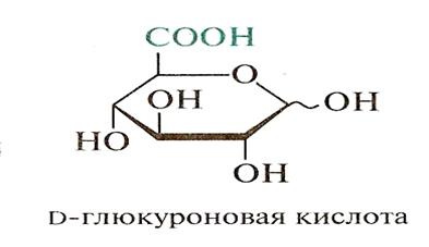 Глюкуроновая кислота для чего. Формула глюкуроновой кислоты. Структурная формула глюкуроновой кислоты. Глюкуроновой кислтаформула. Глюкуроновая кислота циклическая формула.