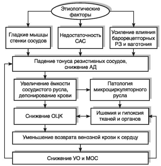 Патогенез дизентерии схема