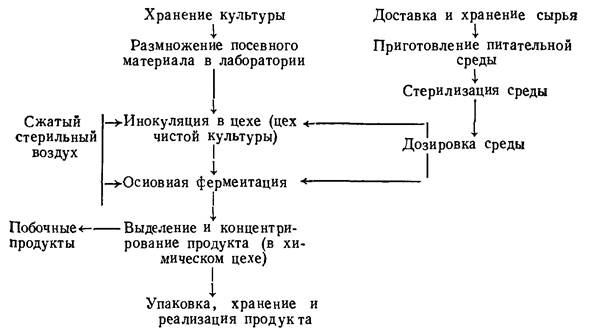 Питательные среды схема