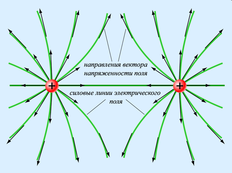 На каком рисунке правильно изображена картина линий напряженности электростатического поля точечного