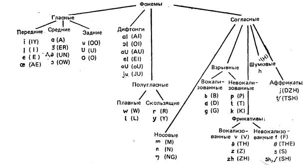 Звуки речи фонема. Система гласных фонем таблица. Гласные фонемы русского языка таблица. Классификация гласных и согласных фонем. Разновидности фонем.