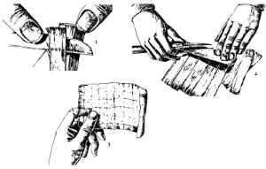 История использования папируса
