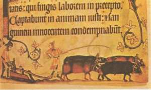 История сельского хозяйства