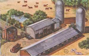 Сельскохозяйственные строения. Современные сельскохозяйственные постройки
