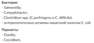 Инфекционные причины диареи животных